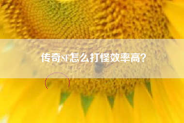 传奇SF怎么打怪效率高?