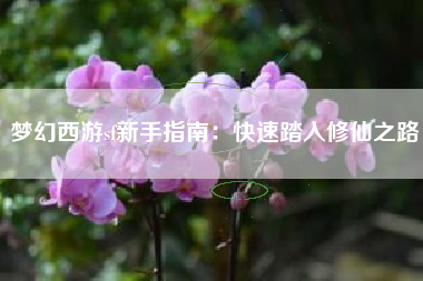 梦幻西游sf新手指南：快速踏入修仙之路