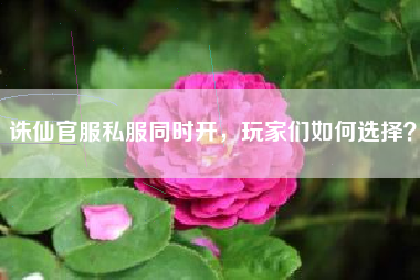 诛仙官服私服同时开,玩家们如何选择?