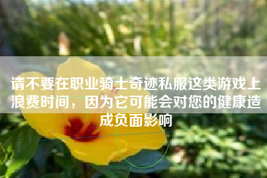 请不要在职业骑士奇迹私服这类游戏上浪费时间,因为它可能会对您的健康造成负面影响