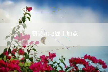 奇迹sf1w2战士加点