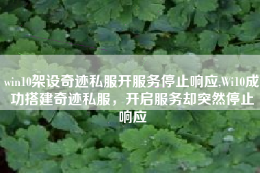 win10架设奇迹私服开服务停止响应,Wi10成功搭建奇迹私服,开启服务却突然停止响应