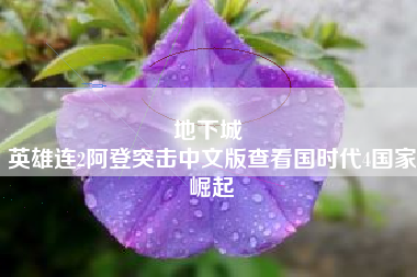 地下城 
英雄连2阿登突击中文版查看国时代4国家崛起