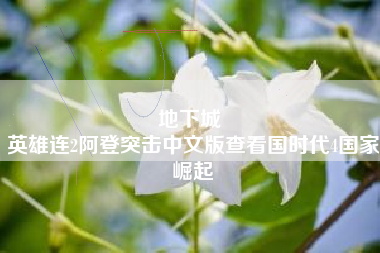 地下城 
英雄连2阿登突击中文版查看国时代4国家崛起