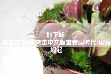 地下城 
英雄连2阿登突击中文版查看国时代4国家崛起