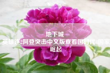 地下城 
英雄连2阿登突击中文版查看国时代4国家崛起