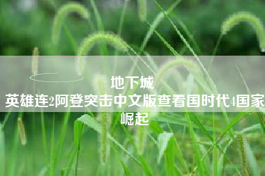 地下城 
英雄连2阿登突击中文版查看国时代4国家崛起