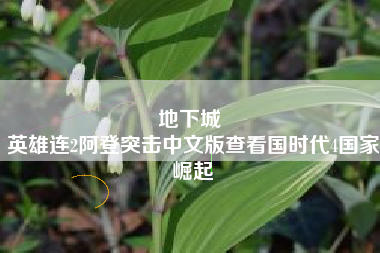 地下城 
英雄连2阿登突击中文版查看国时代4国家崛起