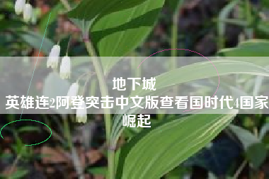 地下城 
英雄连2阿登突击中文版查看国时代4国家崛起