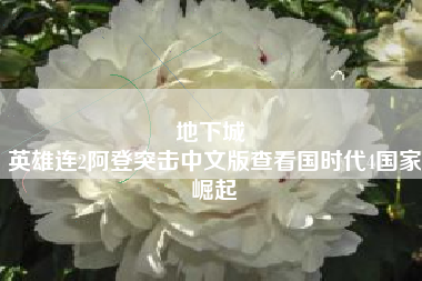 地下城 
英雄连2阿登突击中文版查看国时代4国家崛起