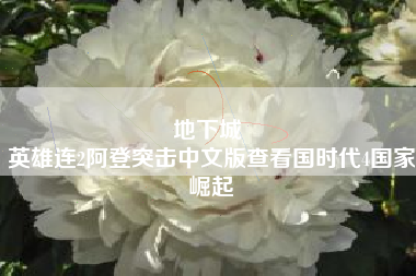 地下城 
英雄连2阿登突击中文版查看国时代4国家崛起