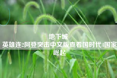 地下城 
英雄连2阿登突击中文版查看国时代4国家崛起