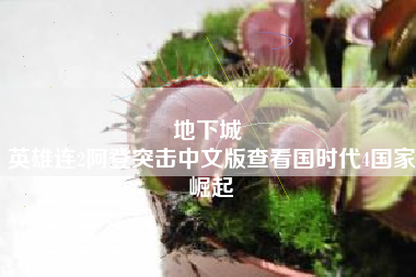 地下城 
英雄连2阿登突击中文版查看国时代4国家崛起