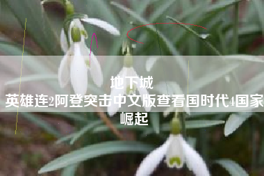 地下城 
英雄连2阿登突击中文版查看国时代4国家崛起