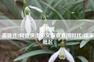 地下城 
英雄连2阿登突击中文版查看国时代4国家崛起