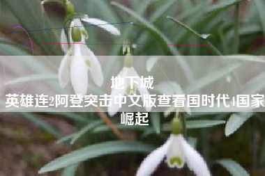 地下城 
英雄连2阿登突击中文版查看国时代4国家崛起