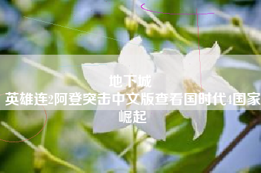 地下城 
英雄连2阿登突击中文版查看国时代4国家崛起