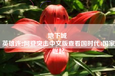 地下城 
英雄连2阿登突击中文版查看国时代4国家崛起