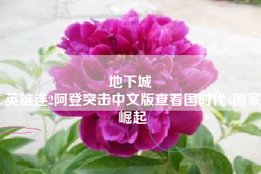 地下城 
英雄连2阿登突击中文版查看国时代4国家崛起