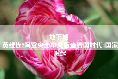 地下城 
英雄连2阿登突击中文版查看国时代4国家崛起