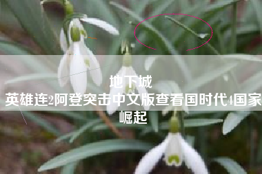 地下城 
英雄连2阿登突击中文版查看国时代4国家崛起