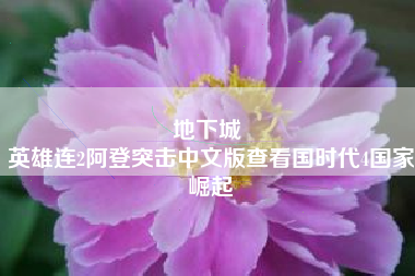 地下城 
英雄连2阿登突击中文版查看国时代4国家崛起