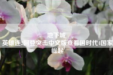 地下城 
英雄连2阿登突击中文版查看国时代4国家崛起