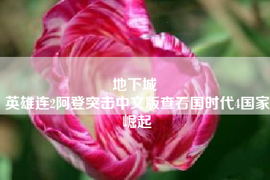 地下城 
英雄连2阿登突击中文版查看国时代4国家崛起