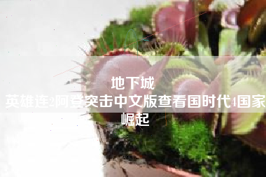 地下城 
英雄连2阿登突击中文版查看国时代4国家崛起