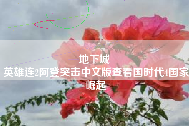 地下城 
英雄连2阿登突击中文版查看国时代4国家崛起