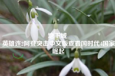 地下城 
英雄连2阿登突击中文版查看国时代4国家崛起