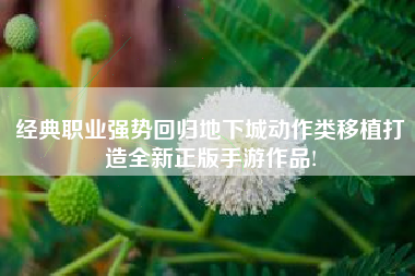 经典职业强势回归地下城动作类移植打造全新正版手游作品!