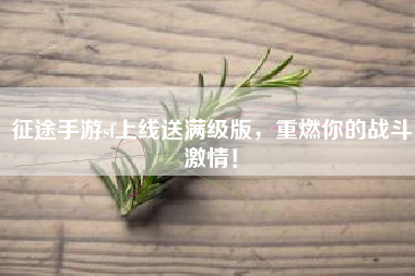 征途手游sf上线送满级版，重燃你的战斗激情！