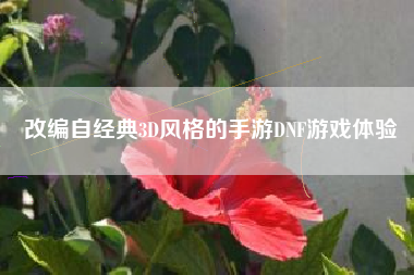 改编自经典3D风格的手游DNF游戏体验