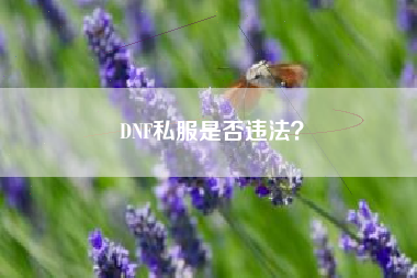 DNF私服是否违法？