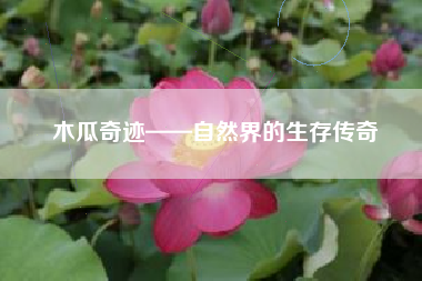 木瓜奇迹——自然界的生存传奇