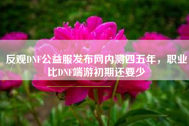 反观DNF公益服发布网内测四五年，职业比DNF端游初期还要少