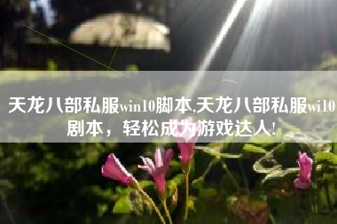 天龙八部私服win10脚本,天龙八部私服wi10剧本，轻松成为游戏达人!