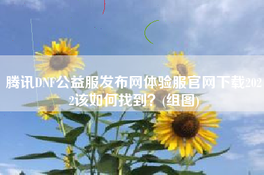 腾讯DNF公益服发布网体验服官网下载2022该如何找到？(组图)