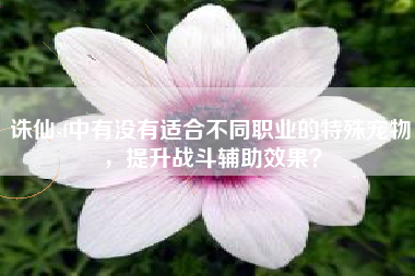 诛仙sf中有没有适合不同职业的特殊宠物，提升战斗辅助效果？