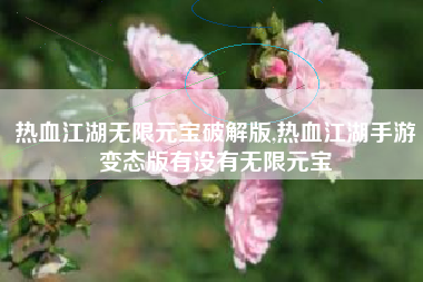 热血江湖无限元宝破解版,热血江湖手游变态版有没有无限元宝