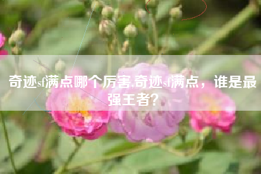 奇迹sf满点哪个厉害,奇迹sf满点，谁是最强王者？