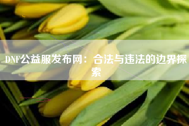 DNF公益服发布网：合法与违法的边界探索