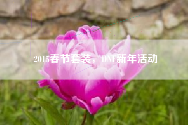 2015春节套装，DNF新年活动