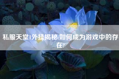 私服天堂1外挂揭秘:如何成为游戏中的存在?