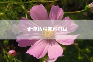 奇迹私服如何打kd