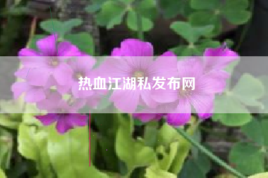 热血江湖私发布网