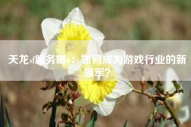 天龙sf服务端6：如何成为游戏行业的新领军？