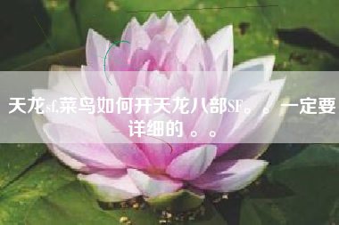 天龙sf,菜鸟如何开天龙八部SF。。一定要详细的 。。