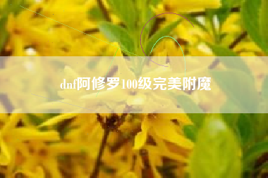 dnf阿修罗100级完美附魔